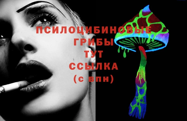 спиды Струнино