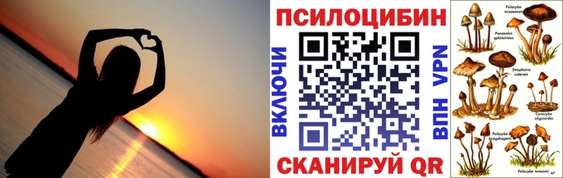 Галлюциногенные грибы мицелий  Суоярви 